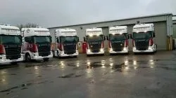 hicks 6